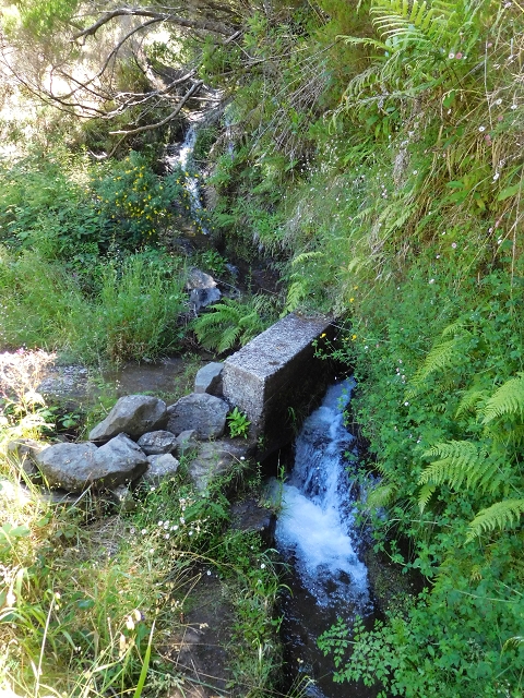 30 June 2016 Rabacal 2016 — To the Stairway of Heaven — photo 1