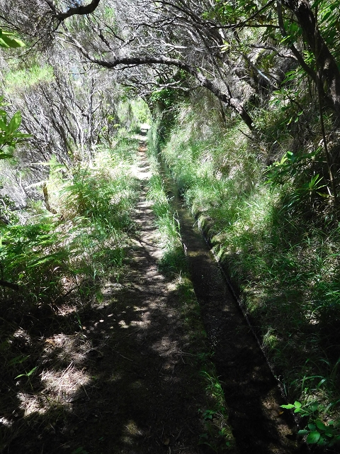30 June 2016 Rabacal 2016 — To the Stairway of Heaven — photo 2
