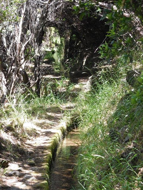 30 June 2016 Rabacal 2016 — To the Stairway of Heaven — photo 3