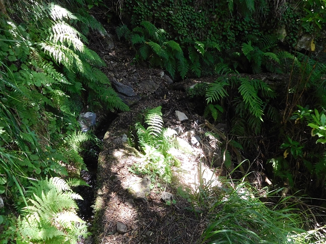 30 June 2016 Rabacal 2016 — To the Stairway of Heaven — photo 7