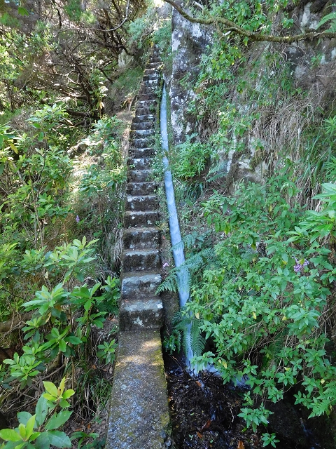30 June 2016 Rabacal 2016 — To the Stairway of Heaven — photo 9