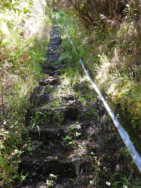30 June 2016 Rabacal 2016 — On the Stairway — photo 3