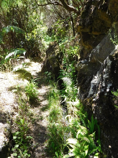 30 June 2016 Rabacal 2016 — On to the current Madre — photo 3