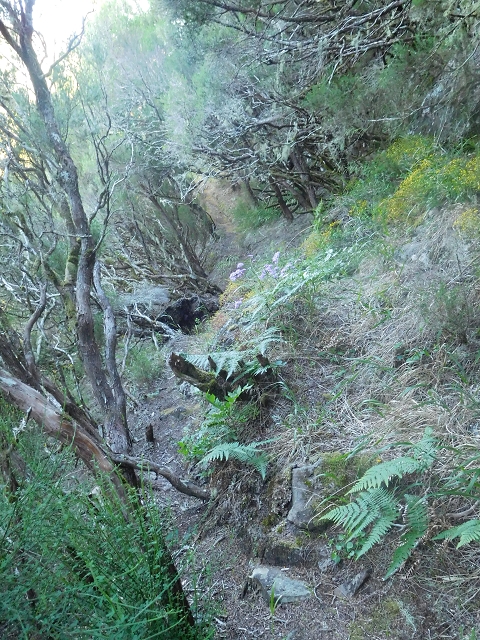 30 June 2016 Rabacal 2016 — Descent to the Madre of the Levada Vinte e Cinco Fontes — photo 13