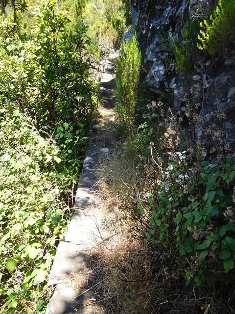30 June 2016 Rabacal 2016 — To the old Madre — photo 1