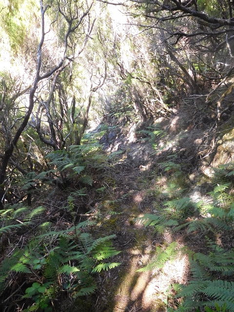 30 June 2016 Rabacal 2016 — Descent to the Madre of the Levada Vinte e Cinco Fontes — photo 14