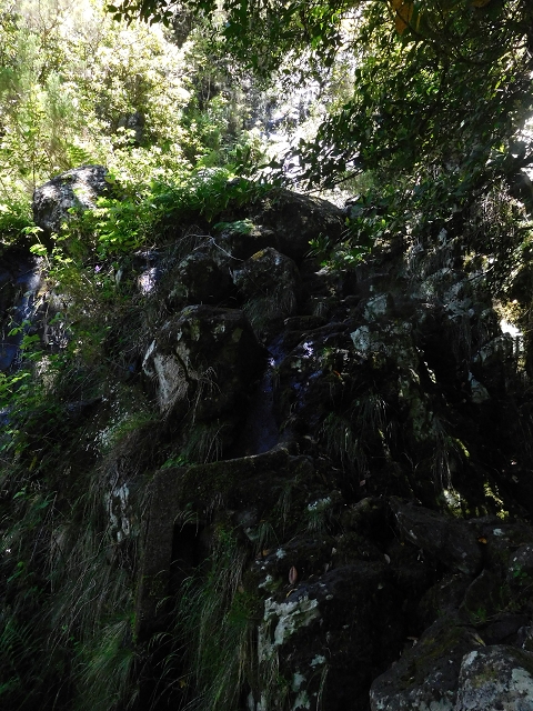 30 June 2016 Rabacal 2016 — To the old Madre — photo 7