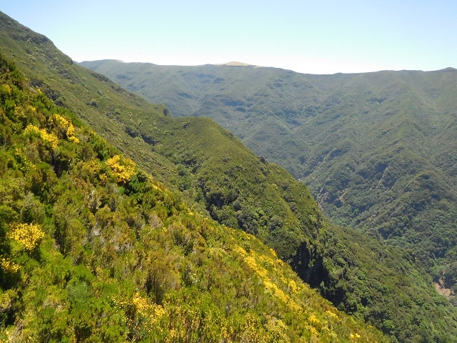30 June 2016 Rabacal 2016 — Ascent to the PR-13 and back to the start — photo 1