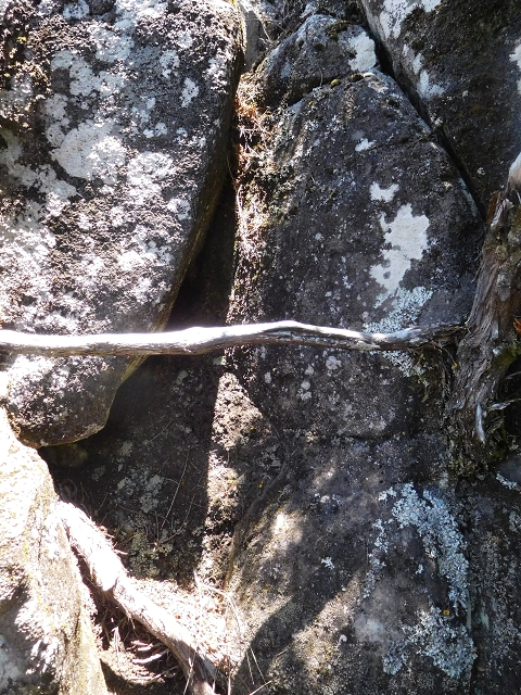 30 June 2016 Rabacal 2016 — Ascent to the PR-13 and back to the start — photo 2