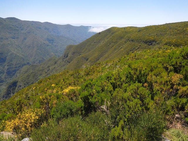 30 June 2016 Rabacal 2016 — Ascent to the PR-13 and back to the start — photo 4