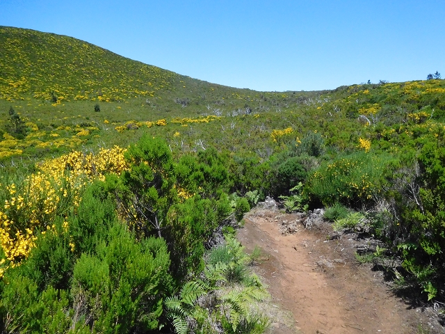 30 June 2016 Rabacal 2016 — Ascent to the PR-13 and back to the start — photo 6
