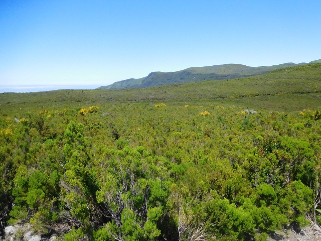 30 June 2016 Rabacal 2016 — Ascent to the PR-13 and back to the start — photo 8
