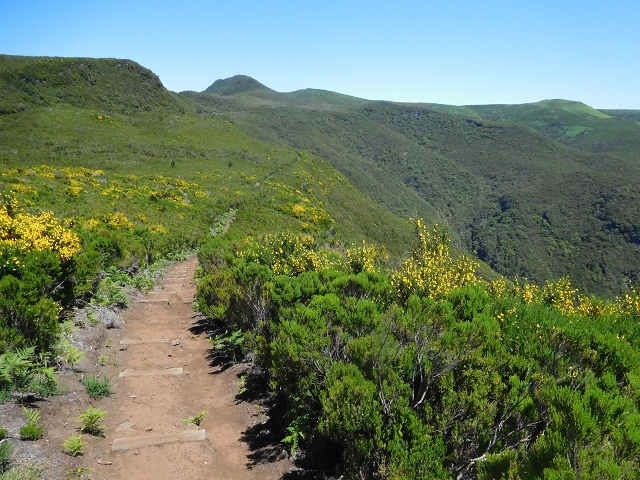 30 June 2016 Rabacal 2016 — Ascent to the PR-13 and back to the start — photo 9