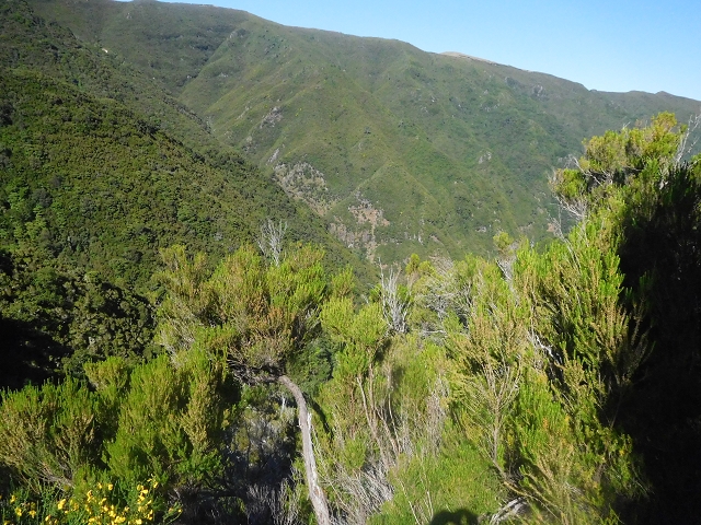 30 June 2016 Rabacal 2016 — Descent to the Madre of the Levada Vinte e Cinco Fontes — photo 16