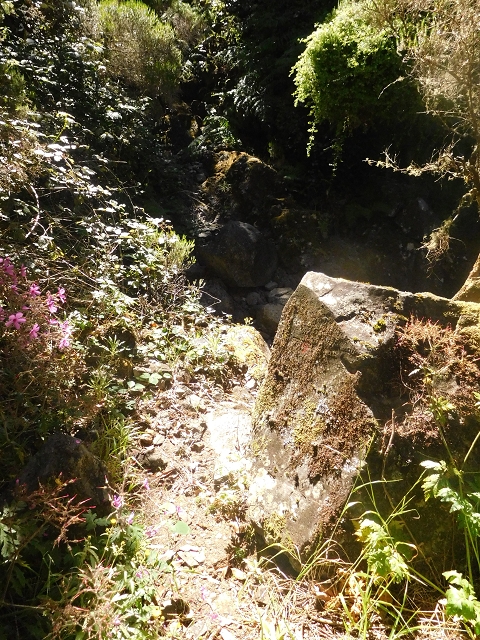 30 June 2016 Rabacal 2016 — Descent to the Madre of the Levada Vinte e Cinco Fontes — photo 17