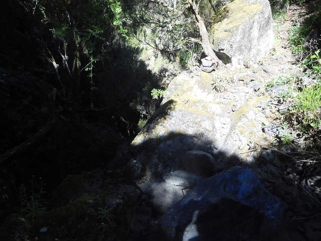 30 June 2016 Rabacal 2016 — Descent to the Madre of the Levada Vinte e Cinco Fontes — photo 18