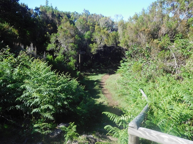 30 June 2016 Rabacal 2016 — Descent to the Madre of the Levada Vinte e Cinco Fontes — photo 2