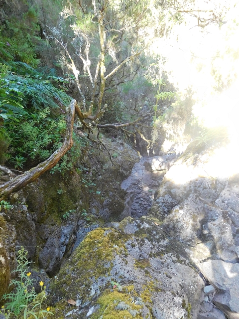 30 June 2016 Rabacal 2016 — Descent to the Madre of the Levada Vinte e Cinco Fontes — photo 20