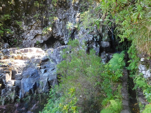 30 June 2016 Rabacal 2016 — Madre of the Levada Vinte e Cinco Fontes — photo 1