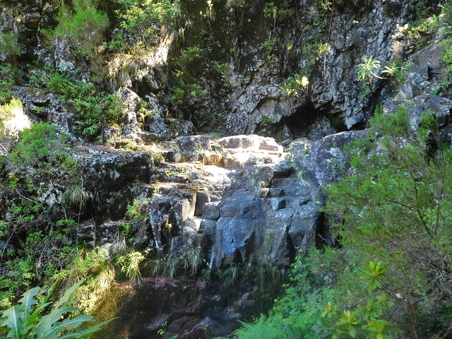 30 June 2016 Rabacal 2016 — Madre of the Levada Vinte e Cinco Fontes — photo 2