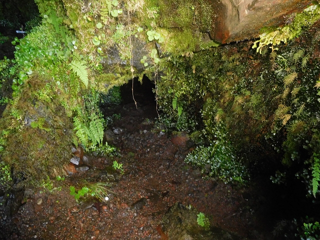 30 June 2016 Rabacal 2016 — Madre of the Levada Vinte e Cinco Fontes — photo 5