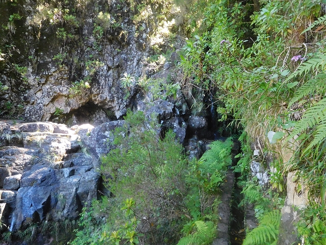 30 June 2016 Rabacal 2016 — Madre of the Levada Vinte e Cinco Fontes — photo 10
