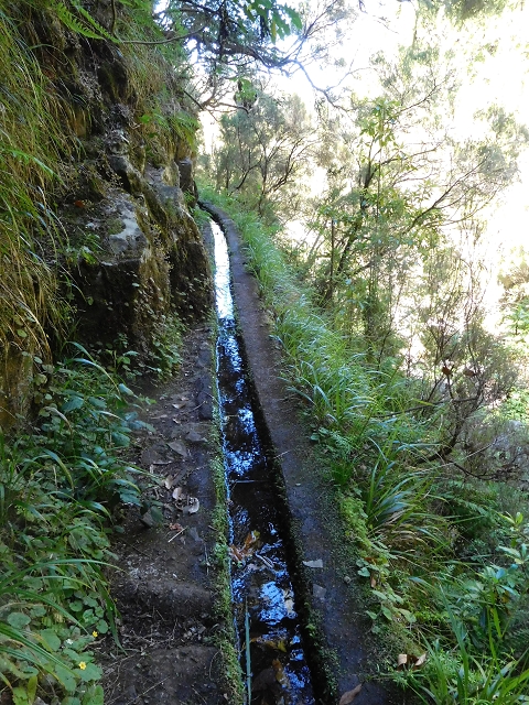 30 June 2016 Rabacal 2016 — Madre of the Levada Vinte e Cinco Fontes — photo 11