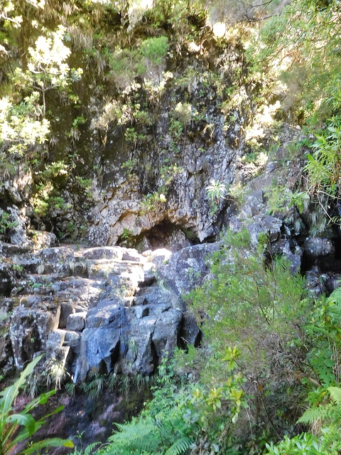 30 June 2016 Rabacal 2016 — Madre of the Levada Vinte e Cinco Fontes — photo 12