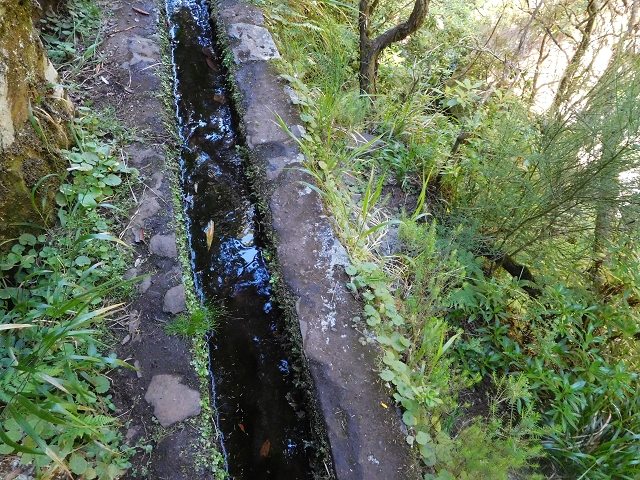 30 June 2016 Rabacal 2016 — Madre of the Levada Vinte e Cinco Fontes — photo 13
