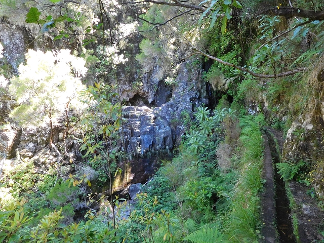 30 June 2016 Rabacal 2016 — Madre of the Levada Vinte e Cinco Fontes — photo 15