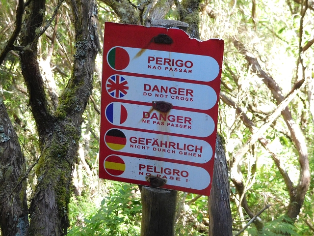 30 June 2016 Rabacal 2016 — On the Levada Vinte e Cinco Fontes — photo 1
