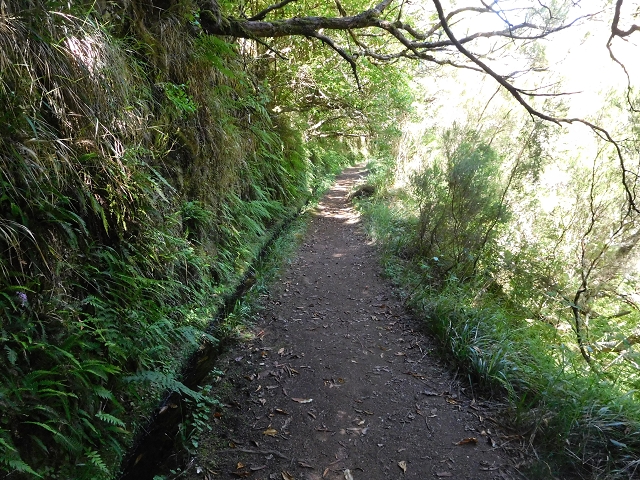 30 June 2016 Rabacal 2016 — On the Levada Vinte e Cinco Fontes — photo 4