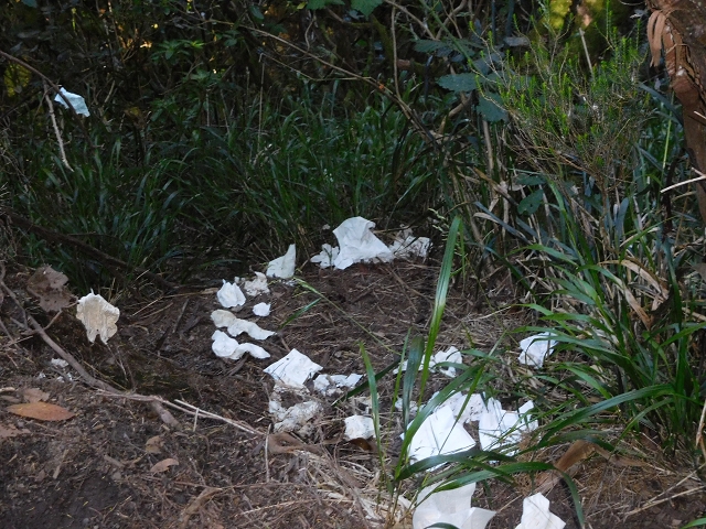 30 June 2016 Rabacal 2016 — On the Levada Vinte e Cinco Fontes — photo 6