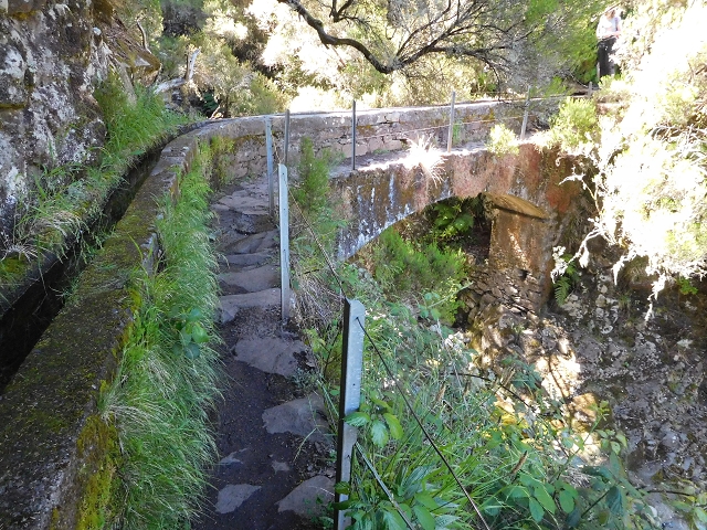 30 June 2016 Rabacal 2016 — On the Levada Vinte e Cinco Fontes — photo 7
