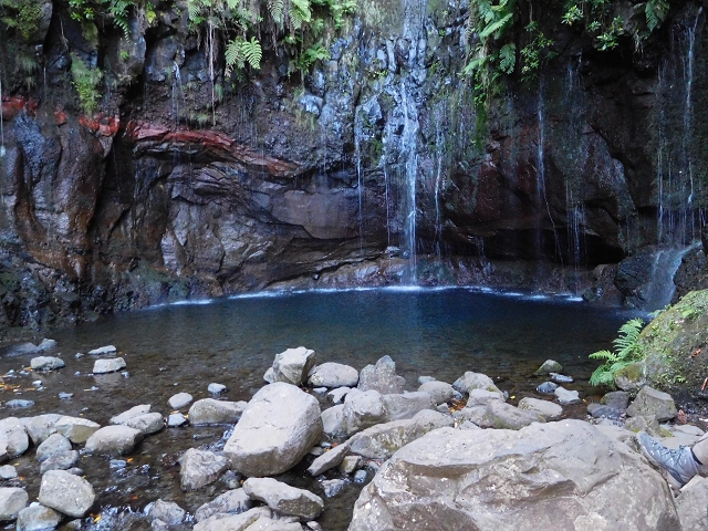 30 June 2016 Rabacal 2016 — On the Levada Vinte e Cinco Fontes — photo 9