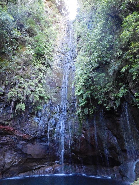 30 June 2016 Rabacal 2016 — On the Levada Vinte e Cinco Fontes — photo 10