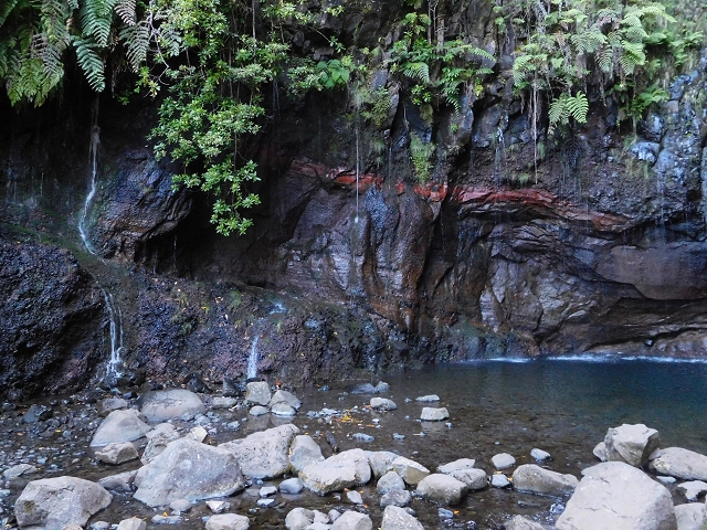 30 June 2016 Rabacal 2016 — On the Levada Vinte e Cinco Fontes — photo 11