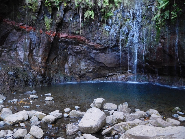 30 June 2016 Rabacal 2016 — On the Levada Vinte e Cinco Fontes — photo 12