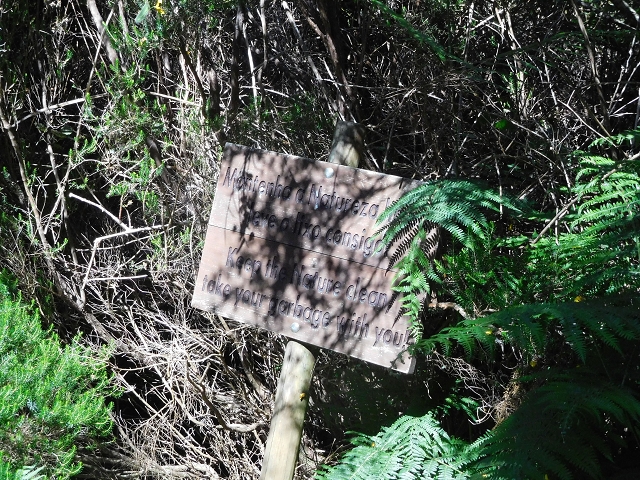 30 June 2016 Rabacal 2016 — On the Levada Vinte e Cinco Fontes — photo 13