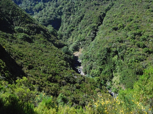 30 June 2016 Rabacal 2016 — On the Levada Vinte e Cinco Fontes — photo 14
