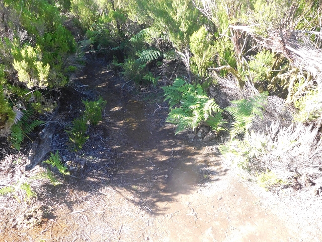 30 June 2016 Rabacal 2016 — Descent to the Madre of the Levada Vinte e Cinco Fontes — photo 5