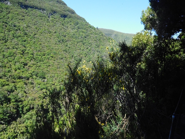 30 June 2016 Rabacal 2016 — On the Levada Vinte e Cinco Fontes — photo 15