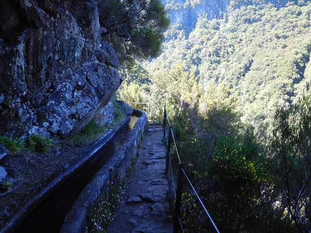30 June 2016 Rabacal 2016 — On the Levada Vinte e Cinco Fontes — photo 16