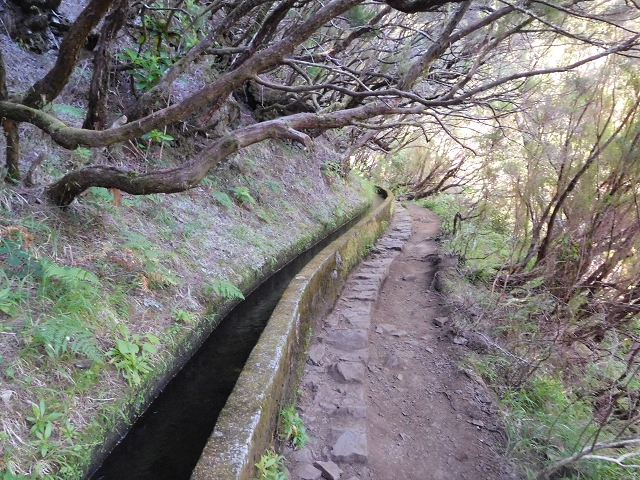 30 June 2016 Rabacal 2016 — On the Levada Vinte e Cinco Fontes — photo 17