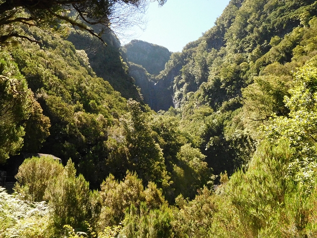 30 June 2016 Rabacal 2016 — On the Levada Vinte e Cinco Fontes — photo 18