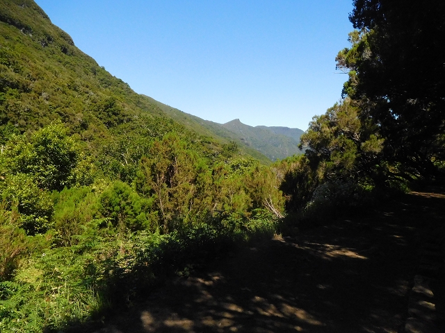 30 June 2016 Rabacal 2016 — On the Levada Vinte e Cinco Fontes — photo 19