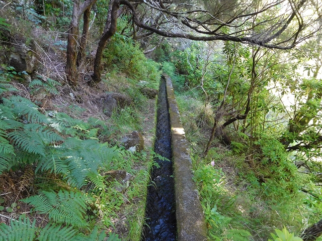 Levada Vinte e Cinco Fontes — Levada de adução da Ribeira Grande — foto 1