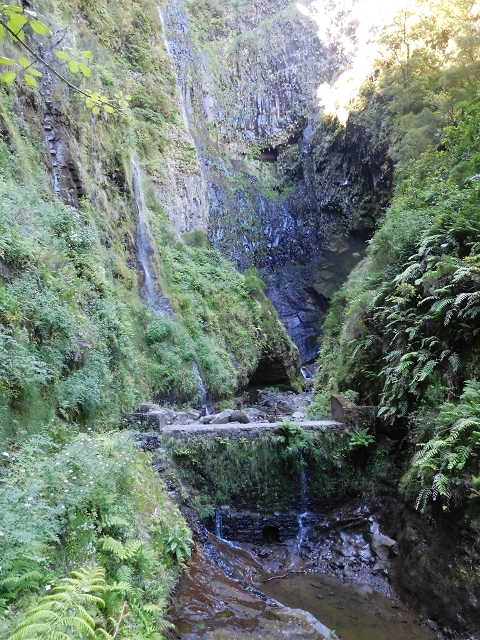 30 June 2016 Rabacal 2016 — Feeder levada to the Levada Vinte e Cinco Fontes — photo 3