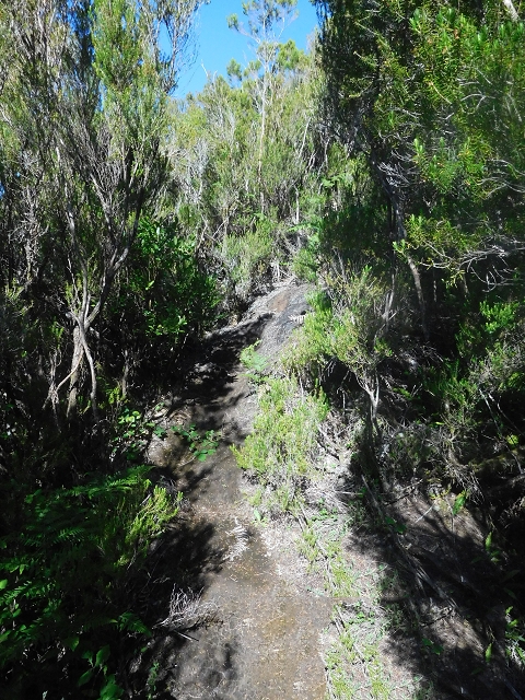 30 June 2016 Rabacal 2016 — Descent to the Madre of the Levada Vinte e Cinco Fontes — photo 6