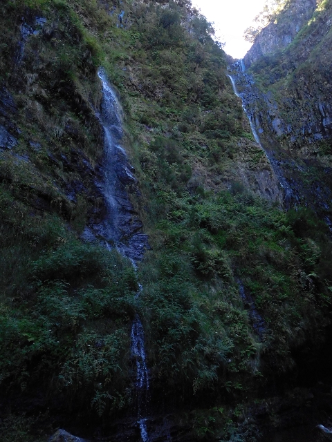 30 June 2016 Rabacal 2016 — Feeder levada to the Levada Vinte e Cinco Fontes — photo 7